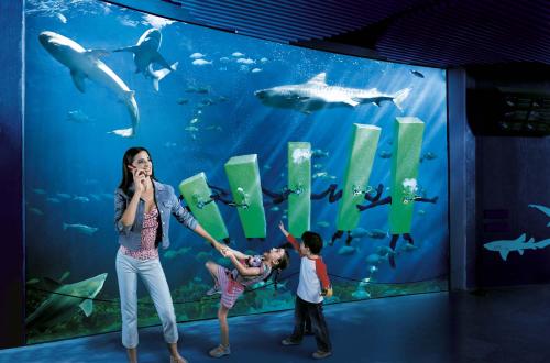 Fotografia de 7x7 - Galeria Fotografica: Campa�as - Foto: 