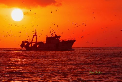 Fotografia de Pepe rubia - Galeria Fotografica: noche - Foto: 