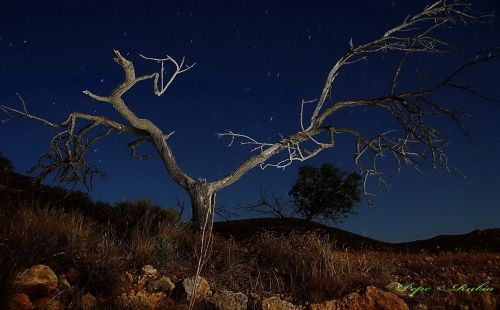 Fotografia de Pepe rubia - Galeria Fotografica: noche - Foto: 