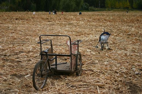 Fotografia de FOTOSCARTES - Galeria Fotografica: autor - Foto: 