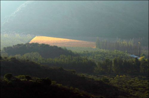 Fotografia de FOTOSCARTES - Galeria Fotografica: autor - Foto: 
