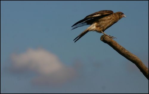 Fotografia de FOTOSCARTES - Galeria Fotografica: autor - Foto: 