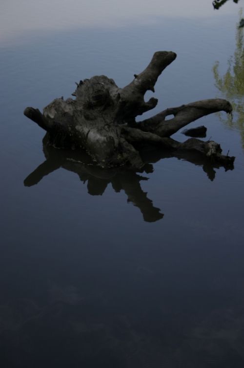 Fotografia de FOTOSCARTES - Galeria Fotografica: autor - Foto: 