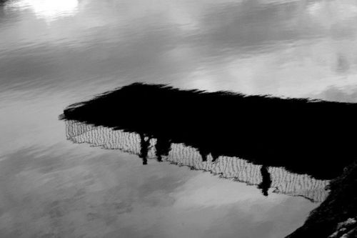 Fotografia de Jose Javier - Galeria Fotografica: Avils - Niemeyer - Foto: 