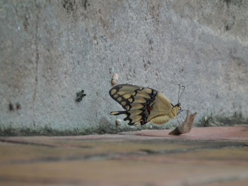 Fotografia de Jose Oma�a - Galeria Fotografica: Fotos Naturaleza - Foto: 