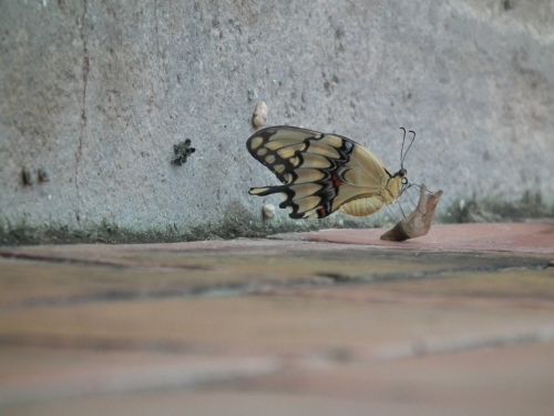 Fotografia de Jose Oma�a - Galeria Fotografica: Fotos Naturaleza - Foto: 