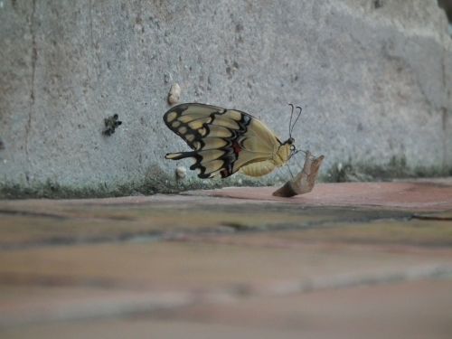 Fotografia de Jose Oma�a - Galeria Fotografica: Fotos Naturaleza - Foto: 