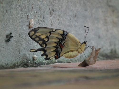 Fotografia de Jose Oma�a - Galeria Fotografica: Fotos Naturaleza - Foto: 