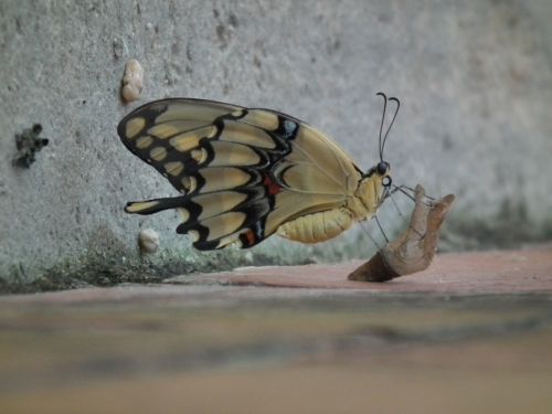 Fotografia de Jose Oma�a - Galeria Fotografica: Fotos Naturaleza - Foto: 