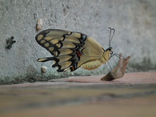 Fotografia de Jose Oma�a - Galeria Fotografica: Fotos Naturaleza - Foto: 