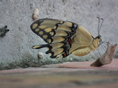 Fotografia de Jose Oma�a - Galeria Fotografica: Fotos Naturaleza - Foto: 