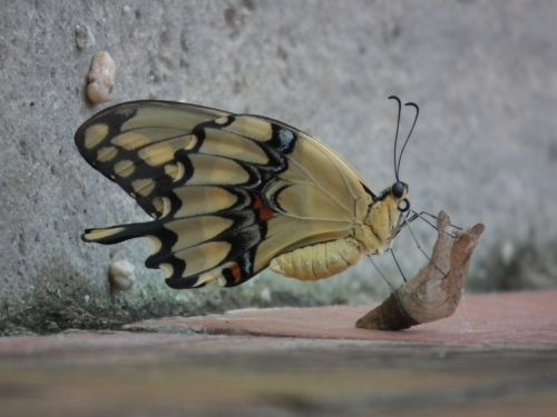 Fotografia de Jose Oma�a - Galeria Fotografica: Fotos Naturaleza - Foto: 