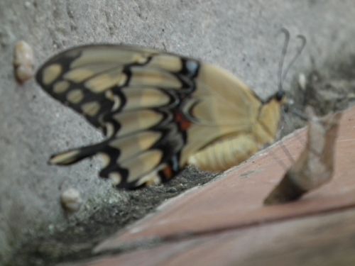 Fotografia de Jose Oma�a - Galeria Fotografica: Fotos Naturaleza - Foto: 