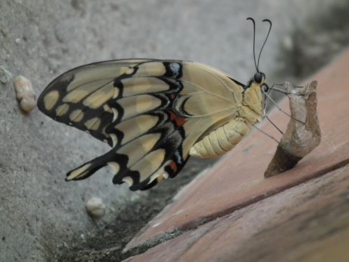 Fotografia de Jose Oma�a - Galeria Fotografica: Fotos Naturaleza - Foto: 