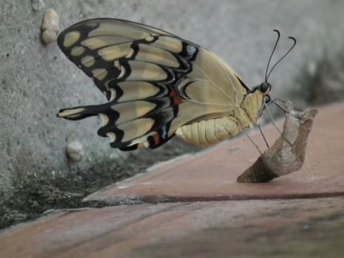 Fotografia de Jose Oma�a - Galeria Fotografica: Fotos Naturaleza - Foto: 