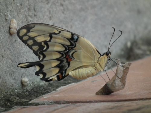 Fotografia de Jose Oma�a - Galeria Fotografica: Fotos Naturaleza - Foto: 