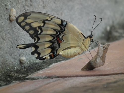 Fotografia de Jose Oma�a - Galeria Fotografica: Fotos Naturaleza - Foto: 