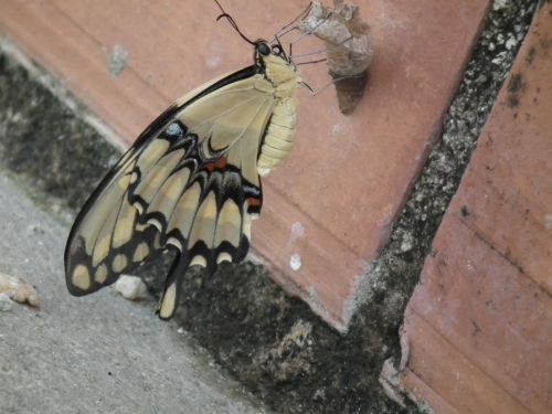 Fotografia de Jose Oma�a - Galeria Fotografica: Fotos Naturaleza - Foto: 