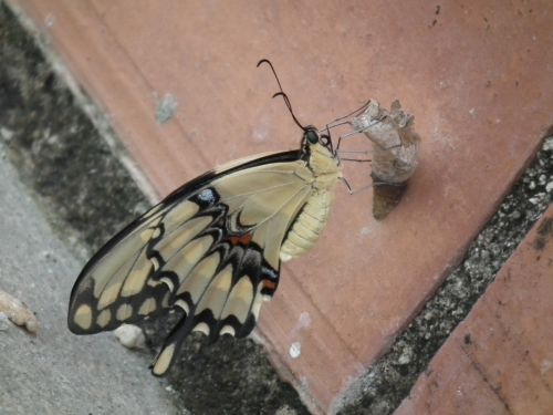 Fotografia de Jose Oma�a - Galeria Fotografica: Fotos Naturaleza - Foto: 