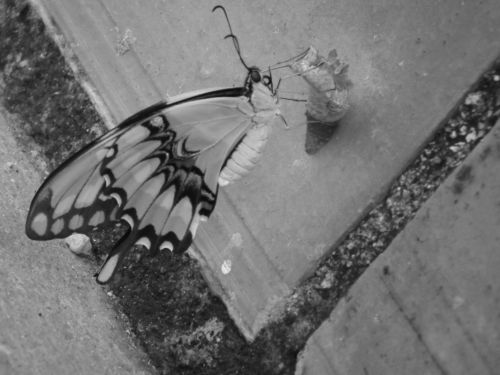 Fotografia de Jose Oma�a - Galeria Fotografica: Fotos Naturaleza - Foto: 