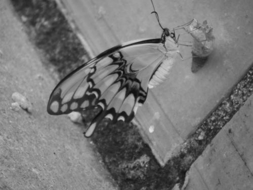 Fotografia de Jose Oma�a - Galeria Fotografica: Fotos Naturaleza - Foto: 