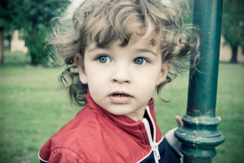 Fotografia de Prisma Estudio - Galeria Fotografica: BOOKS - Foto: Andy