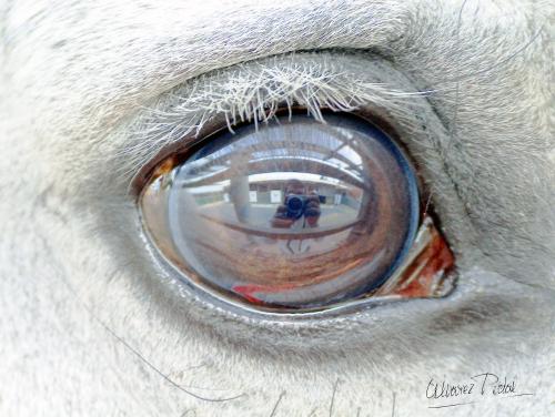 Fotografia de jose - Galeria Fotografica: Varias - Foto: 