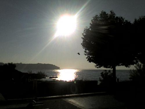 Fotografia de saritrix - Galeria Fotografica: Verano - Foto: ...