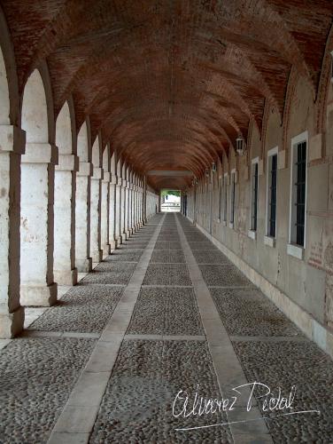 Fotografia de jose - Galeria Fotografica: Varias - Foto: 