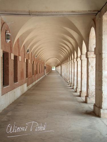 Fotografia de jose - Galeria Fotografica: Varias - Foto: 