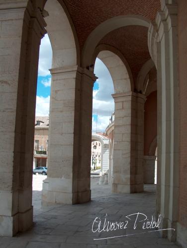 Fotografia de jose - Galeria Fotografica: Varias - Foto: 