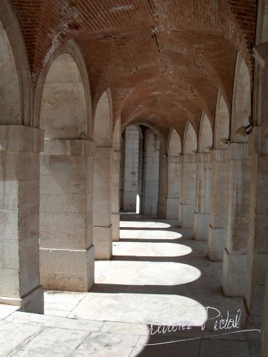 Fotografia de jose - Galeria Fotografica: Varias - Foto: 