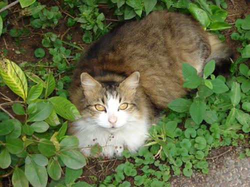 Fotografia de Luz - Galeria Fotografica: Mis primeras fotos - Foto: Poly Margaret