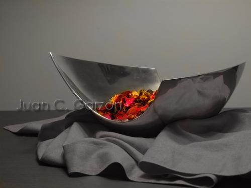 Fotografia de Joan C. Garson - Galeria Fotografica: Basic - Foto: Flores Secas a la Deriva