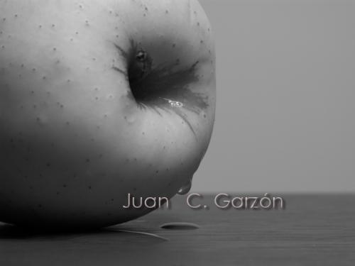 Fotografia de Joan C. Garson - Galeria Fotografica: Basic - Foto: La Gran Manzana