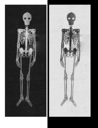 Fotografia de Luz - Galeria Fotografica: Mis primeras fotos - Foto: Mi pasado me condena, mientras yo me mimo