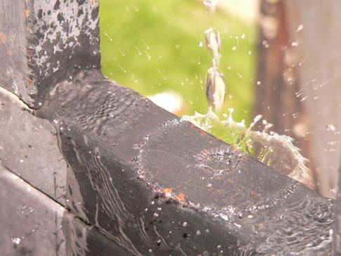 Fotografia de Golden Saber Photo - Galeria Fotografica: Naturaleza en Macro - Foto: Macro 3