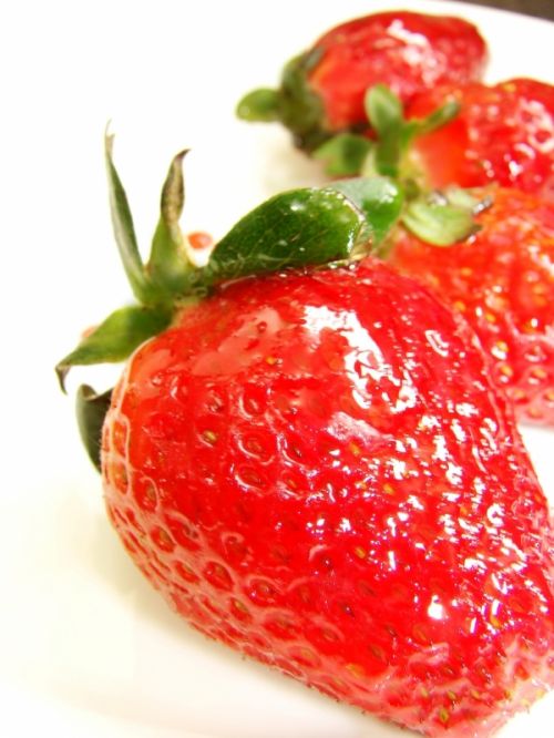 Fotografia de Zayari - Galeria Fotografica: Food  cibo  alimentos - Foto: fresitas