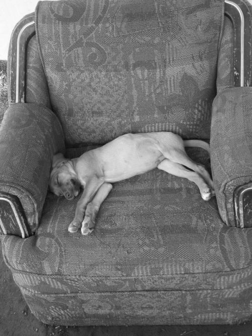 Fotografia de Hctor Coln Aguilar - Galeria Fotografica: Mirando la cascada - Foto: Tomando la siesta