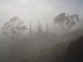 Fotos de Hctor Coln Aguilar -  Foto: Mirando la cascada - Niebla