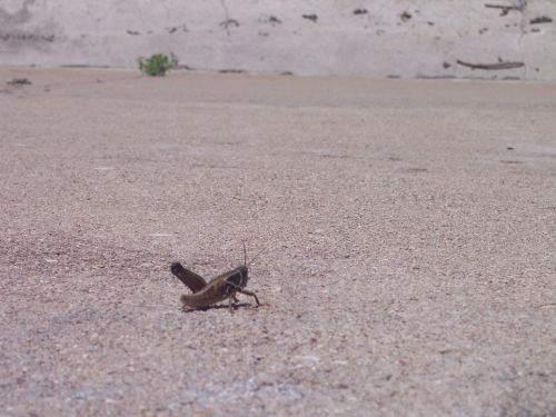 Fotografia de ricardo - Galeria Fotografica: 1 - Foto: 