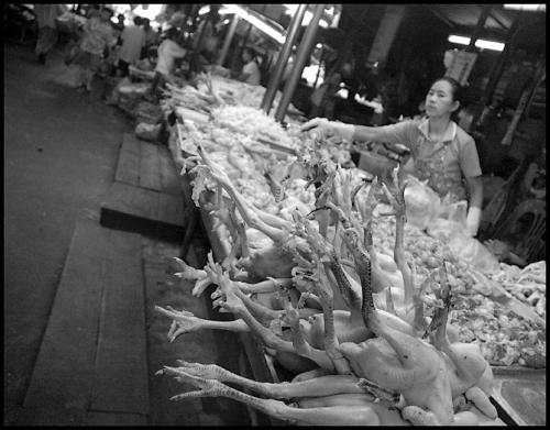 Fotografia de Velocista - Galeria Fotografica: B/N - Foto: Reaching out