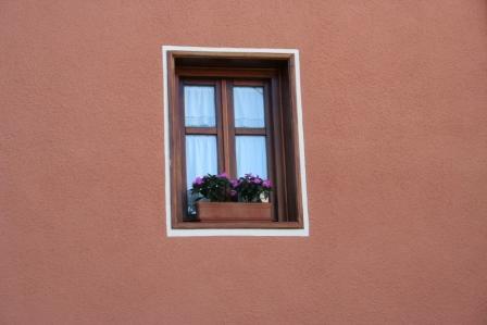 Fotografia de DaBossPlaya - Galeria Fotografica: flores y retratos - Foto: ventana cn flores