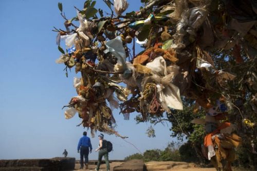 Fotografia de Oscar Elias - Galeria Fotografica: Orissa, India - Foto: 
