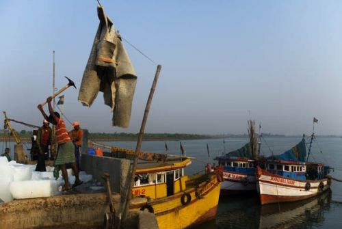 Fotografia de Oscar Elias - Galeria Fotografica: Orissa, India - Foto: 