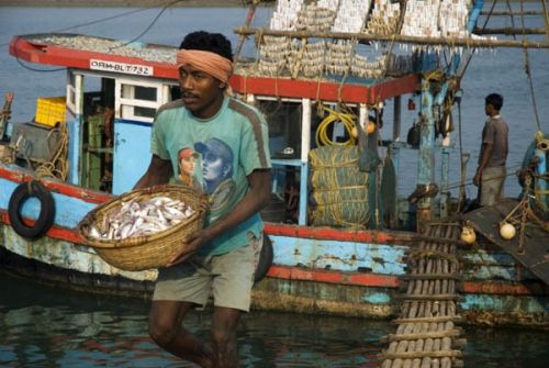 Fotografia de Oscar Elias - Galeria Fotografica: Orissa, India - Foto: 