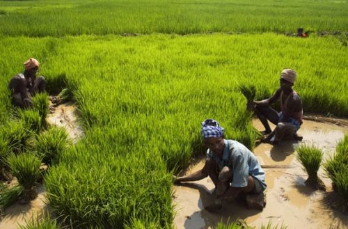 Fotografia de Oscar Elias - Galeria Fotografica: Orissa, India - Foto: 