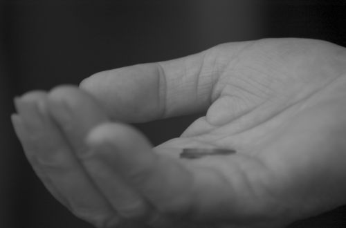 Fotografia de negativo - Galeria Fotografica: Una dcima de segundo - Foto: 