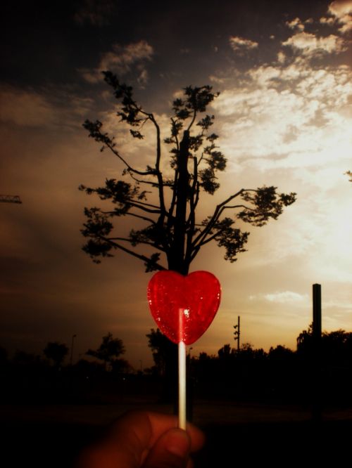 Fotografia de vero - Galeria Fotografica: Totikooos - Foto: 