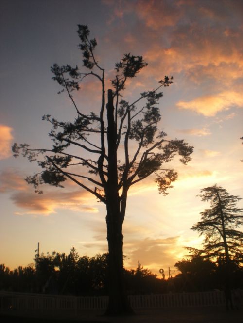 Fotografia de vero - Galeria Fotografica: Totikooos - Foto: 